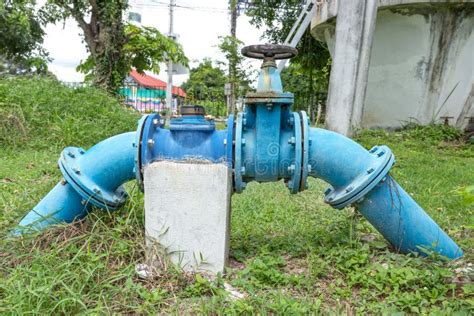 Vídeos pornôs de Bombagem de cona 